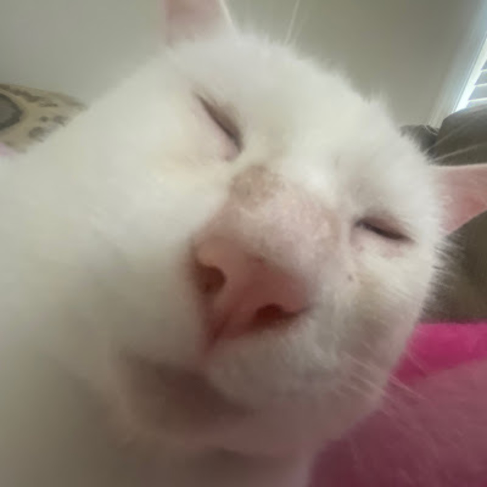 Meet your Posher, Coconut